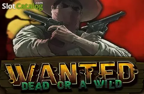 Wanted, cowboy, far west selvaggio